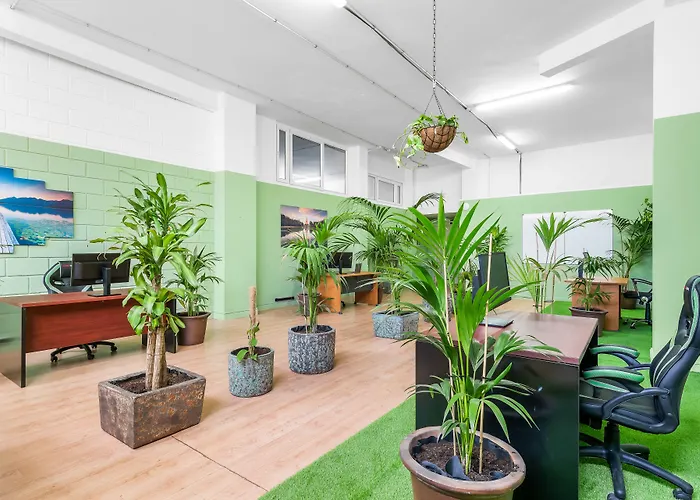 ホテル Club Tarahal 2*